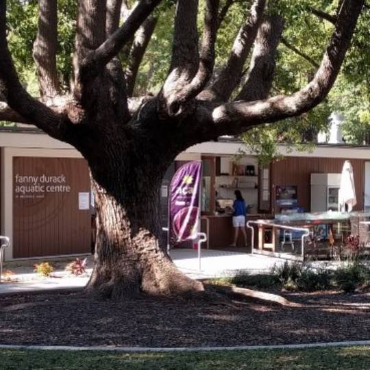 Petersham Park café 